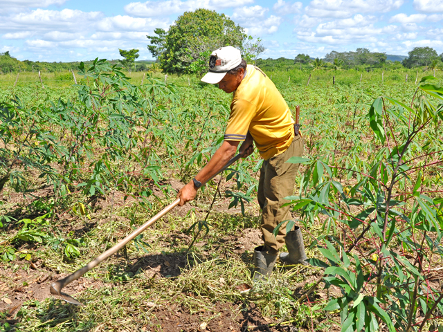 Investimento na agricultura familiar do Piauí chegará a R$ 737 milhões
