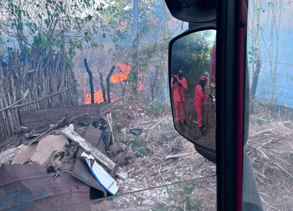 Incêndio de grandes proporções atinge áreas de mata em Oeiras