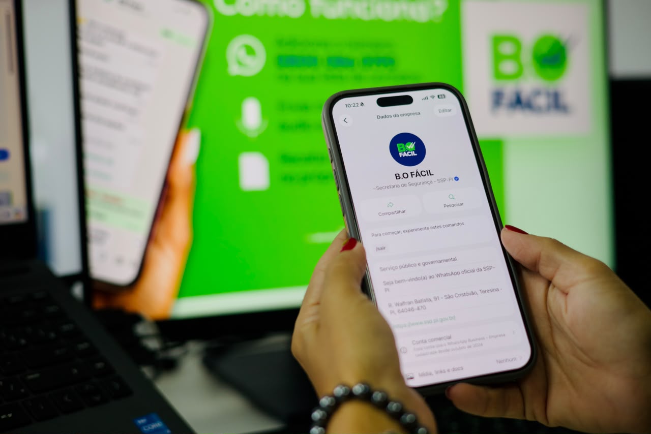 B.O. Fácil já registra cerca de 73 mil atendimentos no Piauí